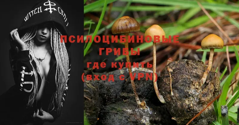 Псилоцибиновые грибы Magic Shrooms  kraken как зайти  Лобня 